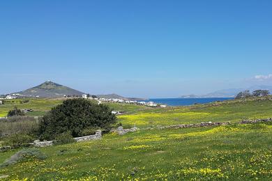 Parcelle entre Pounda et New Gold Beach avec vue sur la mer