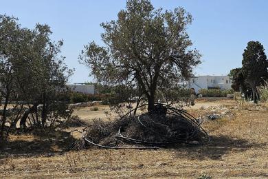 Paros, Drios, beau terrain, 1543m2 près de la mer