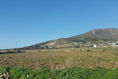 Paros, parcelle de 16.428 m², 200m loin du célèbre Chryssi Akti